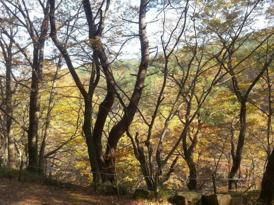 Blue Sky Milky Way Pension ยางยาง ภายนอก รูปภาพ