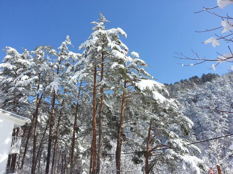 Blue Sky Milky Way Pension ยางยาง ภายนอก รูปภาพ